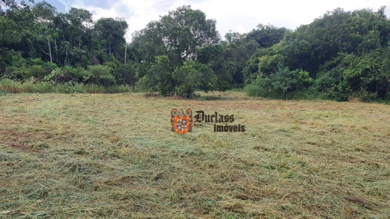Imagem Área à venda, 40000 m² por R$ 1.300.000,00 - Caetetuba - Atibaia/SP