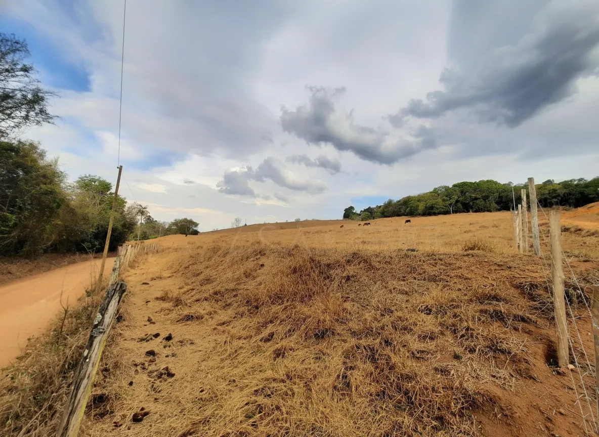 Imagem Gleba 23.800 m² à venda em Correias, Bandeira do Sul