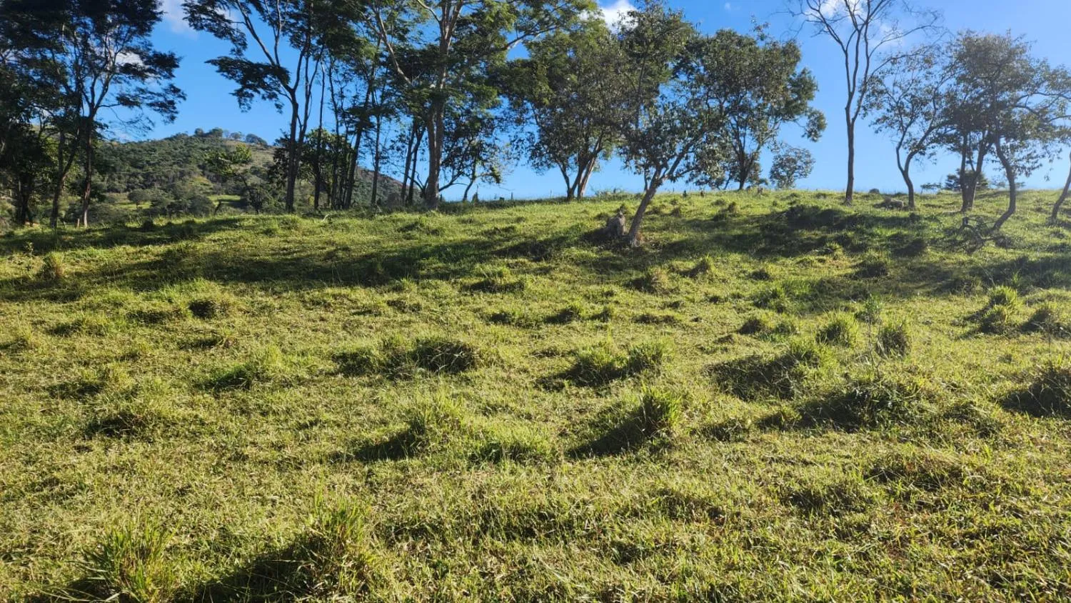 Imagem Vende-se excelente terreno em Bonfim/MG com Área total de 23 hectares, toda formada