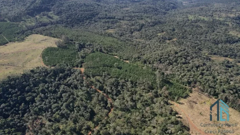 Imagem Terreno localização privilegiada, próxima à cidade e com potencial General Carneiro PR