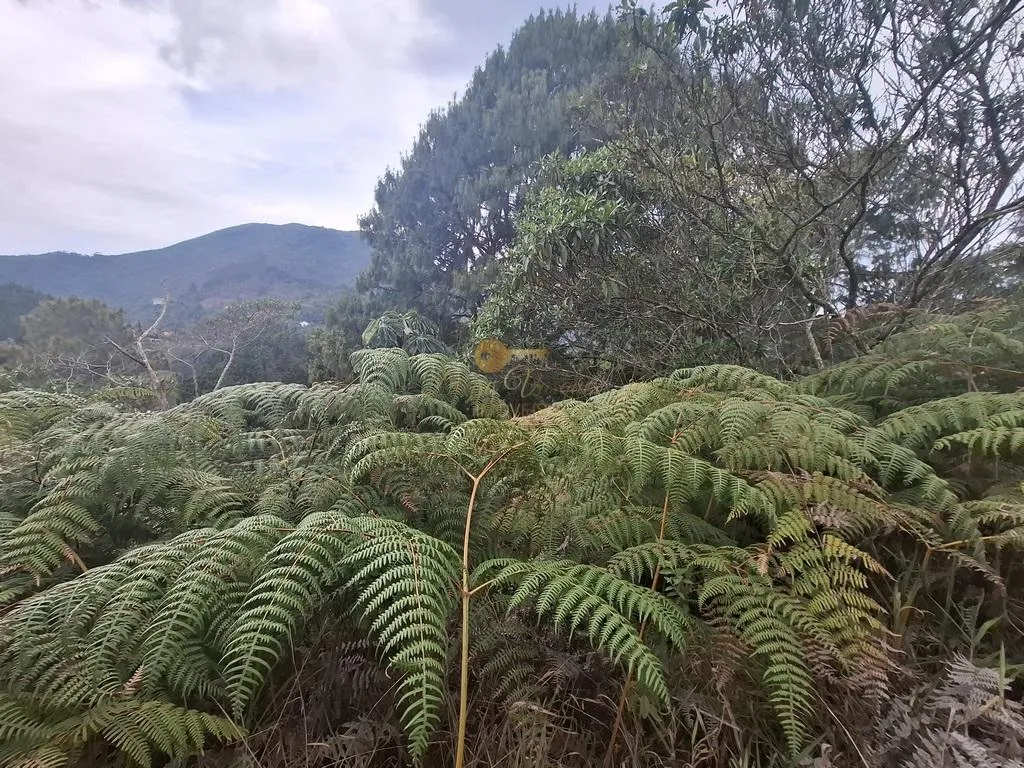 Imagem Terreno em Condomínio para Venda em Teresópolis / RJ no bairro Albuquerque