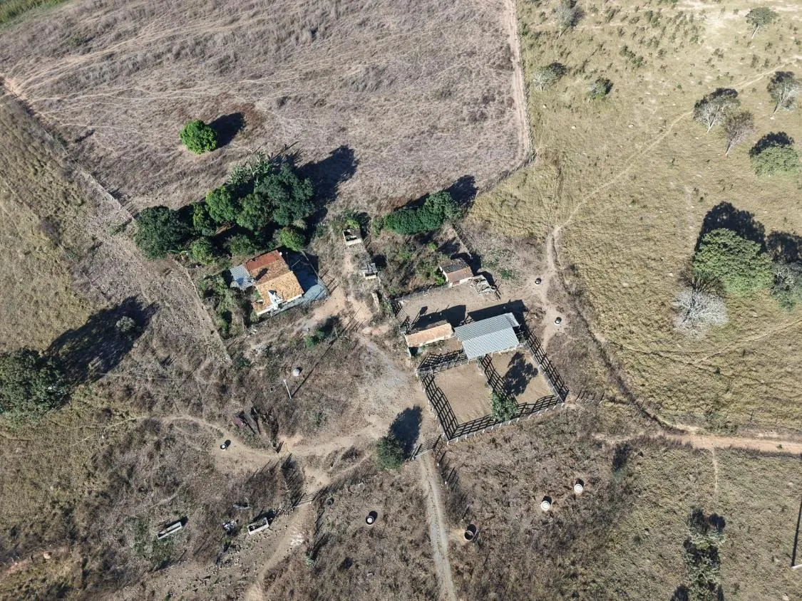 Imagem Fazenda à Venda em Papagaios/MG ? 150 Hectares