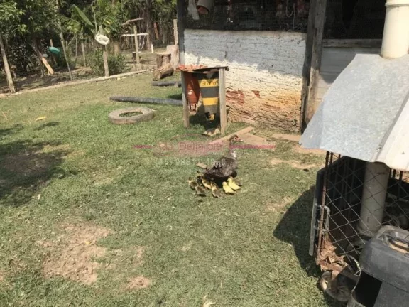 Imagem Terreno para chácara com 1000m2
