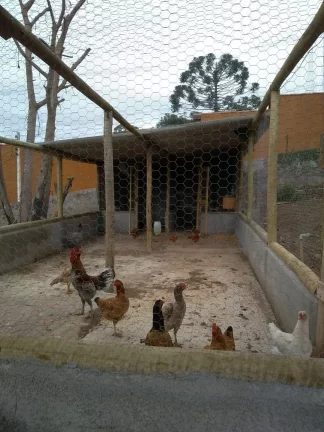 Imagem Atibaia Chácara 12.000 m² Casa piscina churrasqueira!!!