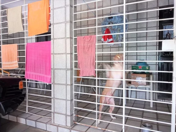 Imagem Casa para Venda em Recife, Jardim São Paulo, 5 dormitórios, 2 banheiros, 2 vagas