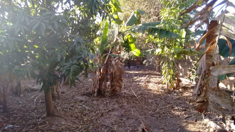 Imagem Casa Padrão