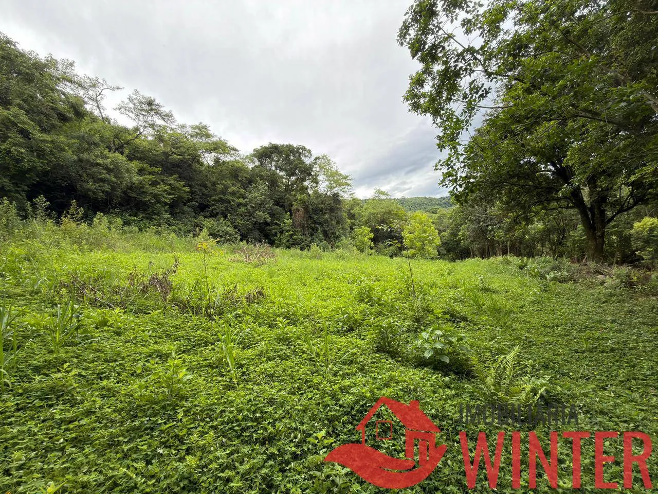 Imagem Area com 10.571 m2 no São Roque, Feliz
