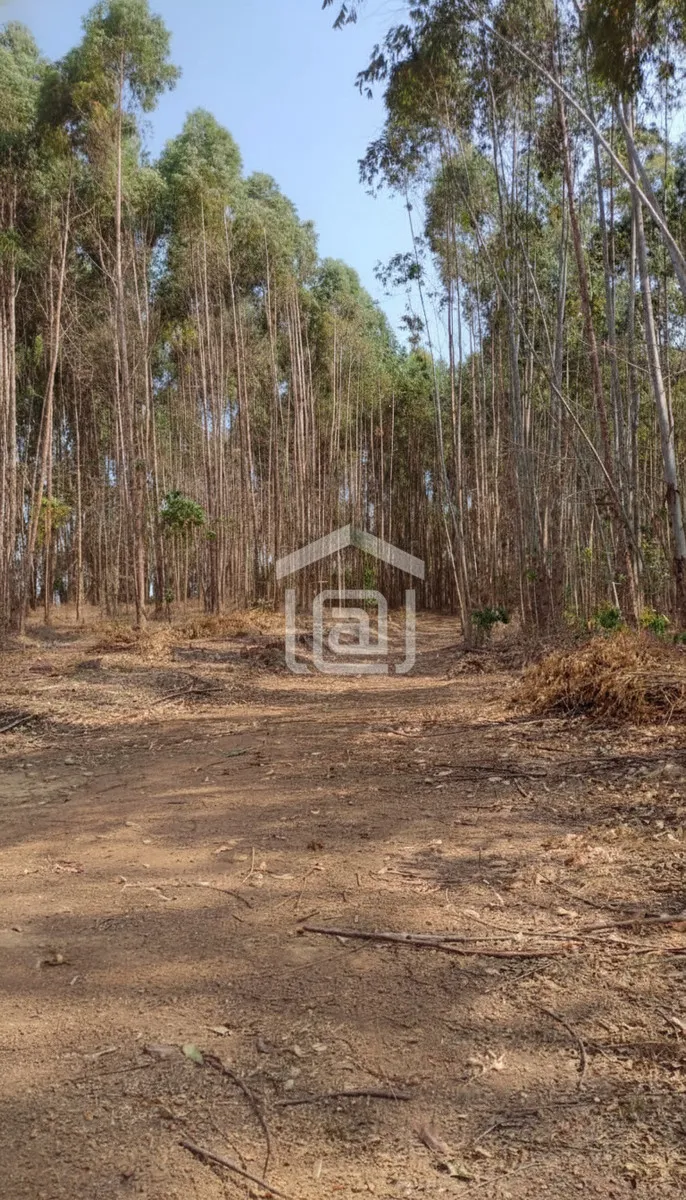 Imagem Sítio 24 m² à venda em Pocinhos do Rio Verde, Caldas