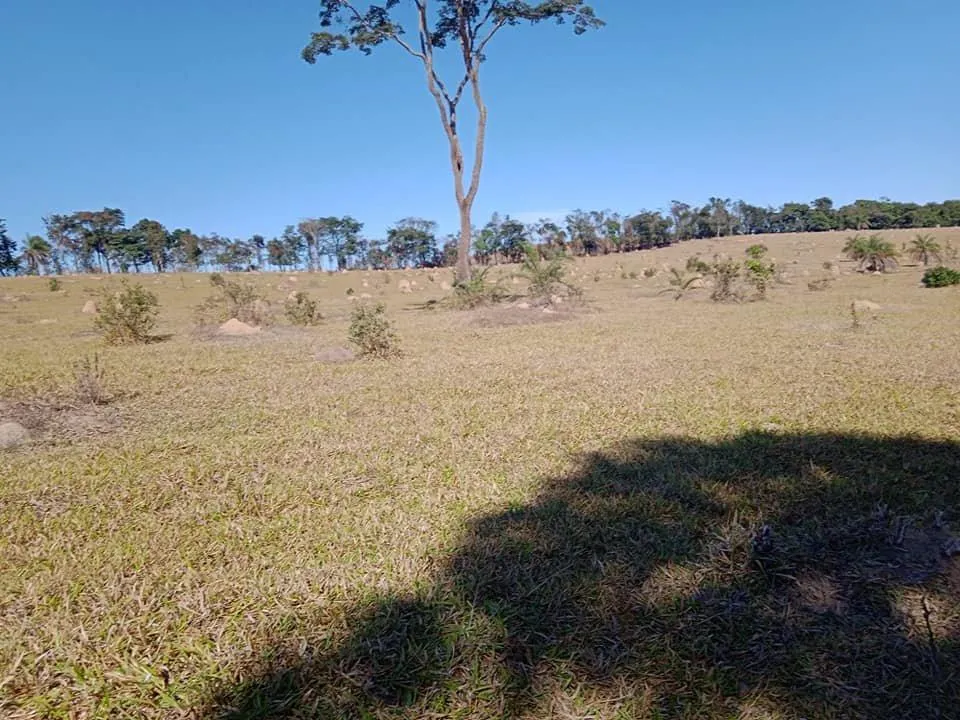 Imagem Vendo Excelente Fazenda em Bonfim/MG 90 hectares de terra