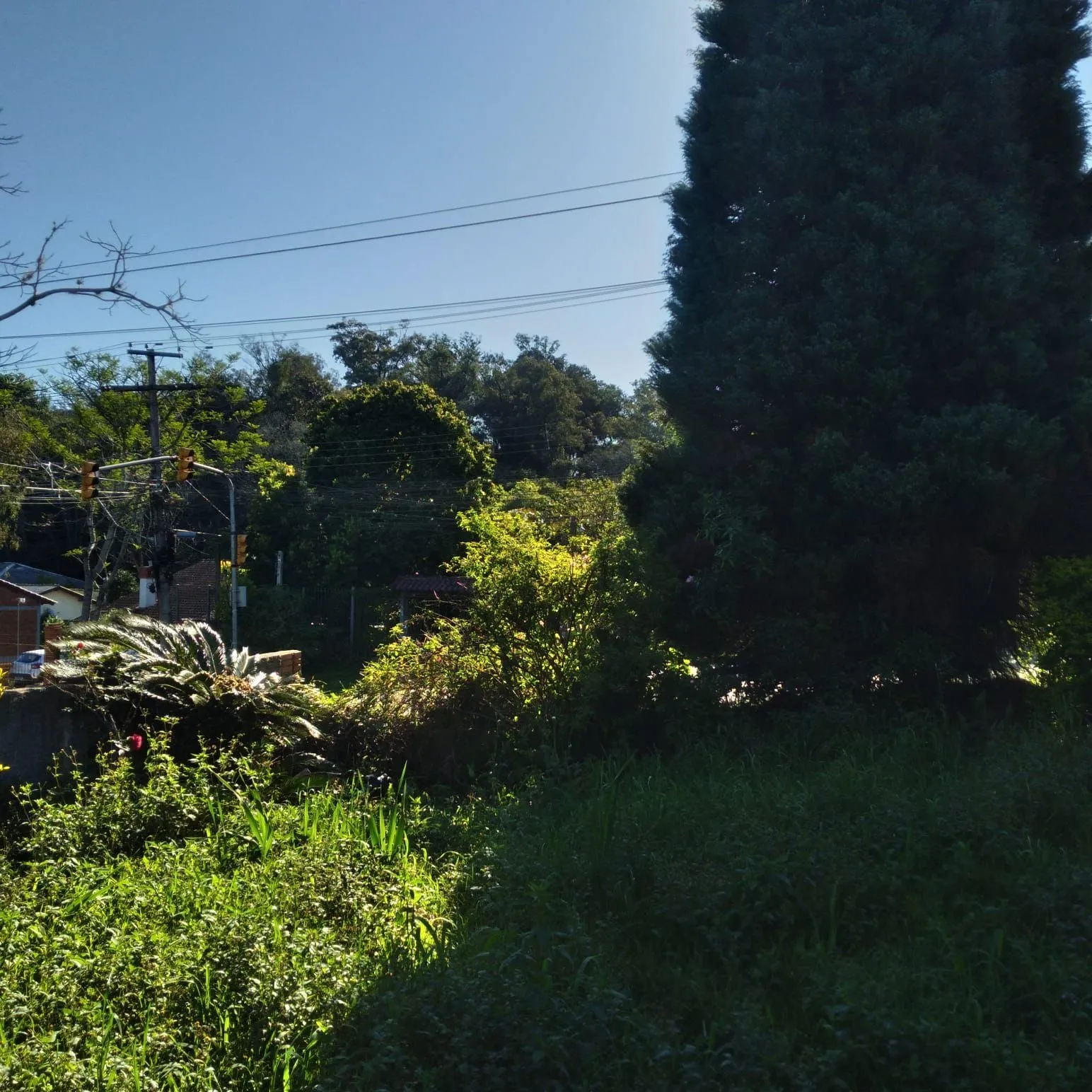 Imagem EXCELENTE TERRENO EM BELÉM VELHO