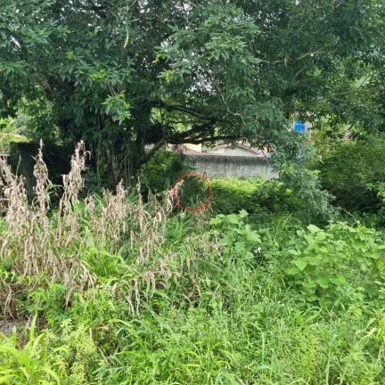 Imagem TERRENO PLANO COM ESCRITURA DEFINITIVA, COM 1.150 METROS, TODO MURADO,EM BOISSUCANGA. OTIMA LOCALIZAÇÃO