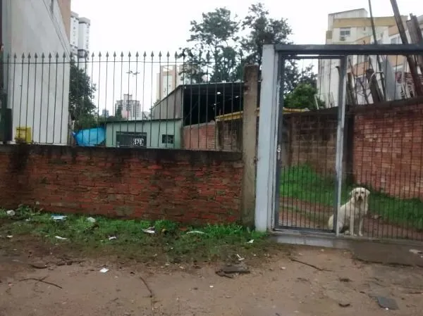 Imagem Terreno para Venda - 296m², 0 dormitórios, Partenon
