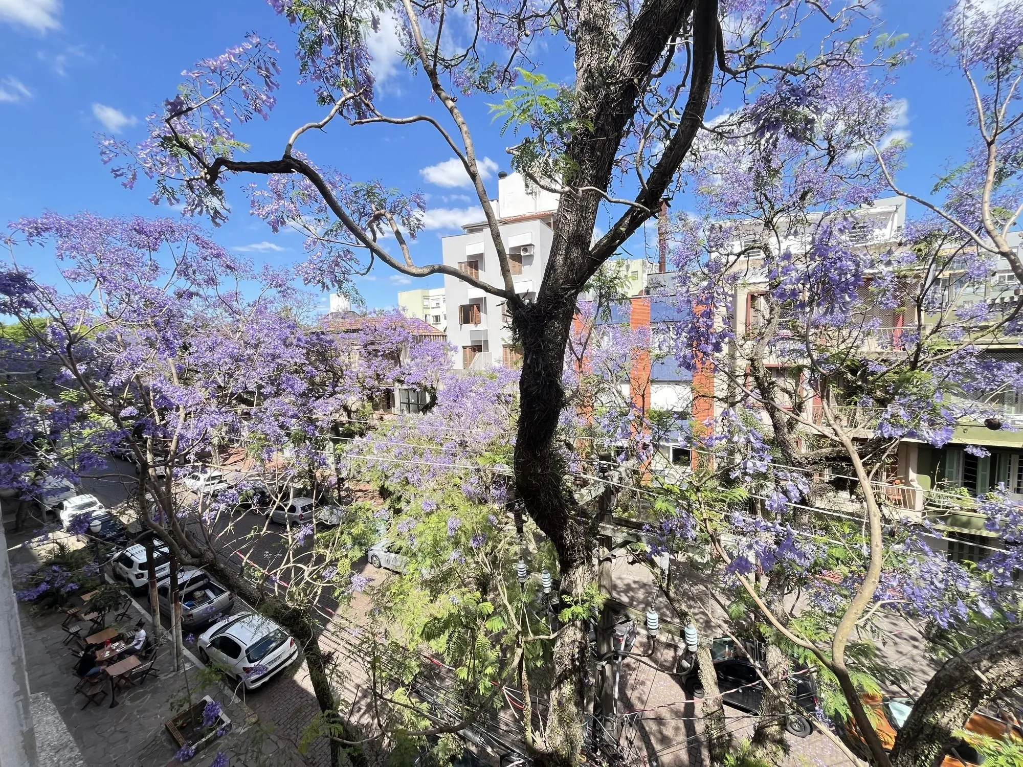 Imagem Apartamento de 2 quartos no bairro Cidade Baixa em Porto Alegre