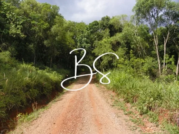 Imagem SITIO RURAL em NOVA PETRÓPOLIS - RS, Linha Temerária