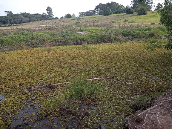 Imagem Área com 10.000m², com açudes, ótima localização, Águas Claras, Viamão