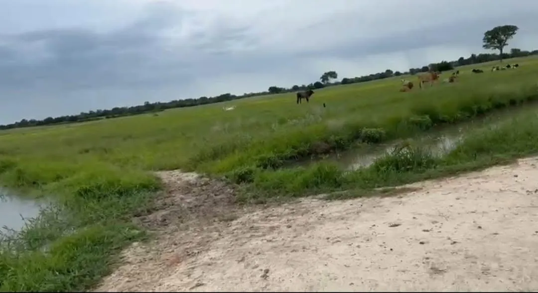 Imagem Vendo excelente fazenda em Jaíba/MG ?área total de 3.150 hectares