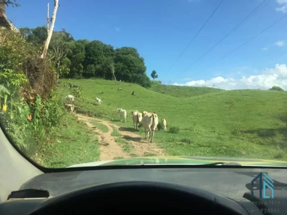 Imagem Sítio ótima localização, documentada, 15 alqueires com casas, Tijucas do Sul - PR