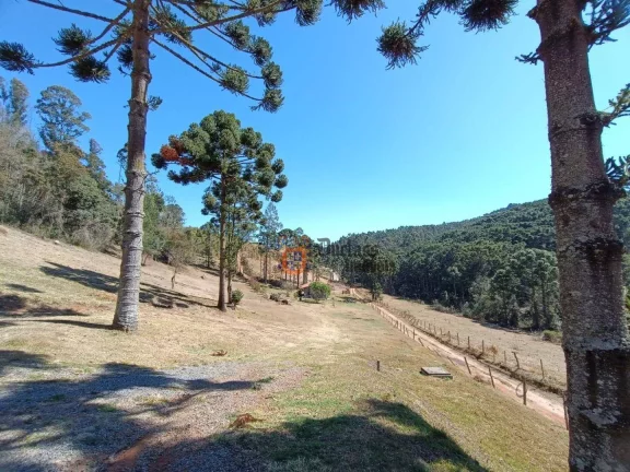 Imagem Sítio com 5 dormitórios à venda, 126000 m² por R$ 2.750.000,00 - Bom Jardim - Camanducaia/MG