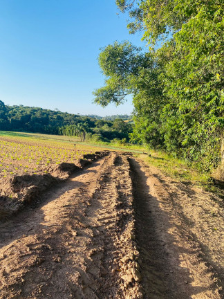 Imagem Chácara à Venda, 1.000 m² em Votora Curral Paruru - Ibiúna