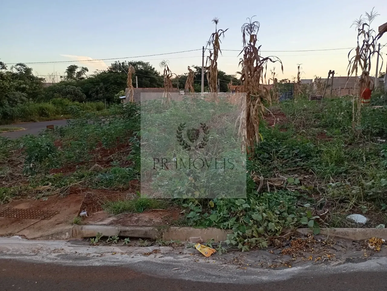 Foto do imóvel Terreno à venda em Araraquara-SP, bairro Residencial Alamedas, 276,63 m² de área. Aproveite essa oportunidade!