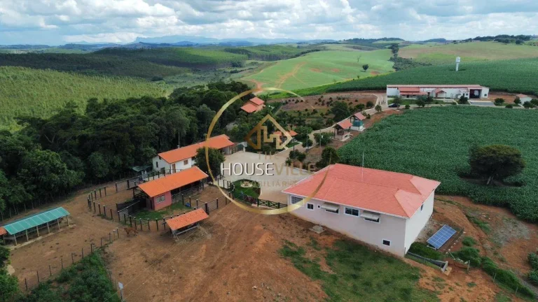Imagem Fazenda, 3 Casas, 171 hectares, criação Gado Nelore e Lavoura, Sul de MG.