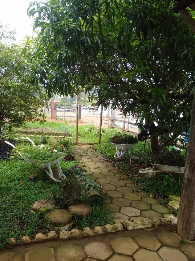 Imagem Vendo linda chácara em Crucilândia/MG com 1.200 m² de área total