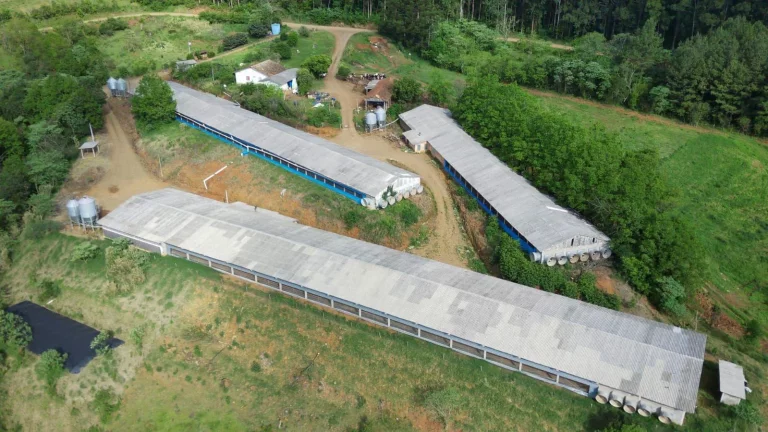 Imagem Granja para Venda em Lindóia do Sul, Interior
