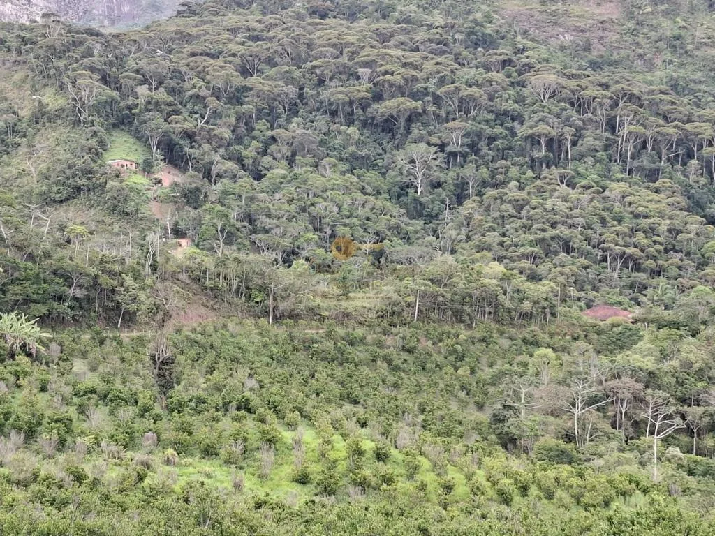 Imagem Sítio para Venda em Teresópolis / RJ no bairro Santa Rita