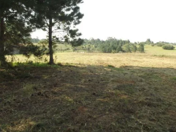 Imagem INVESTIDORES!!! Excelente área de 8 Hectares, frente RS040, Águas Claras