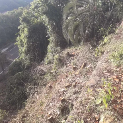 Imagem Terreno para Venda em Concórdia, Centro