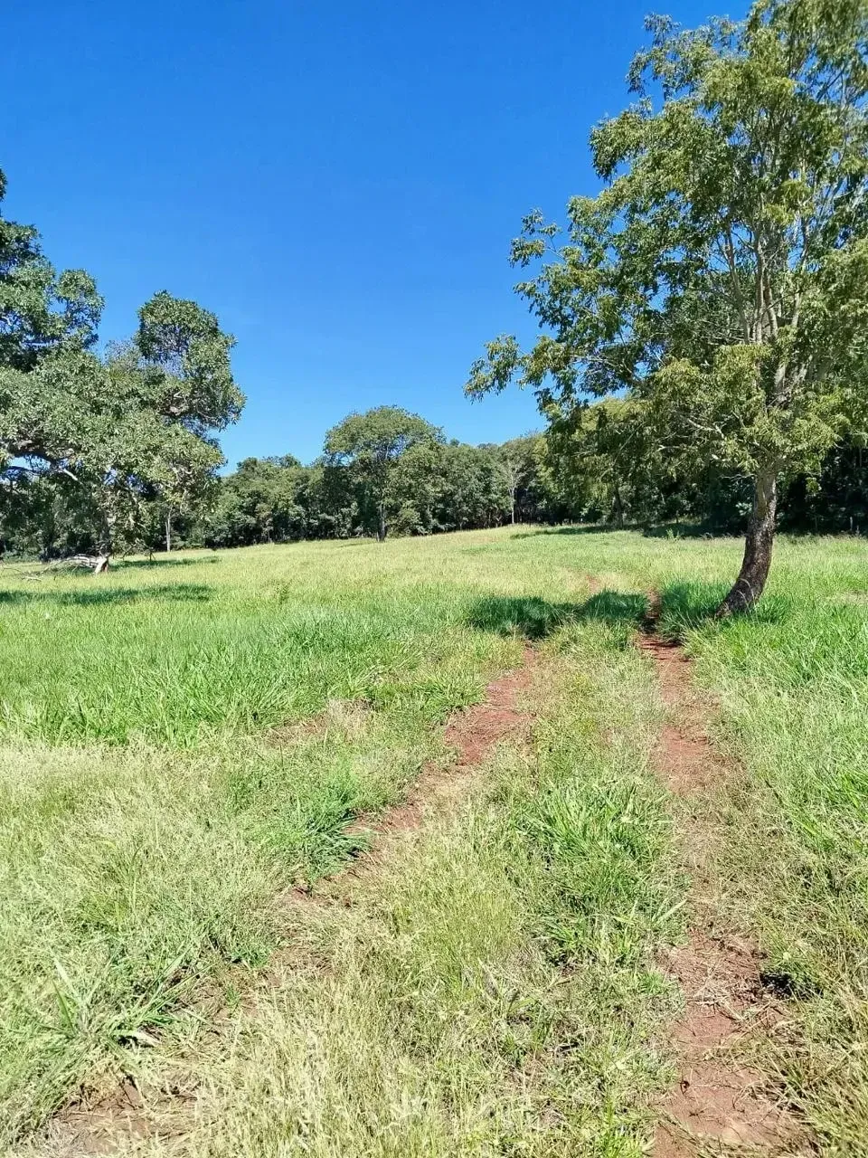 Imagem Fazenda à Venda, 28 Alq. GO em Área Rural de Itumbiara - Itumbiara