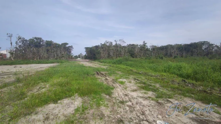 Imagem Terreno Lote Praia Grande Matinhos com Registro de Imóveis e IPTU