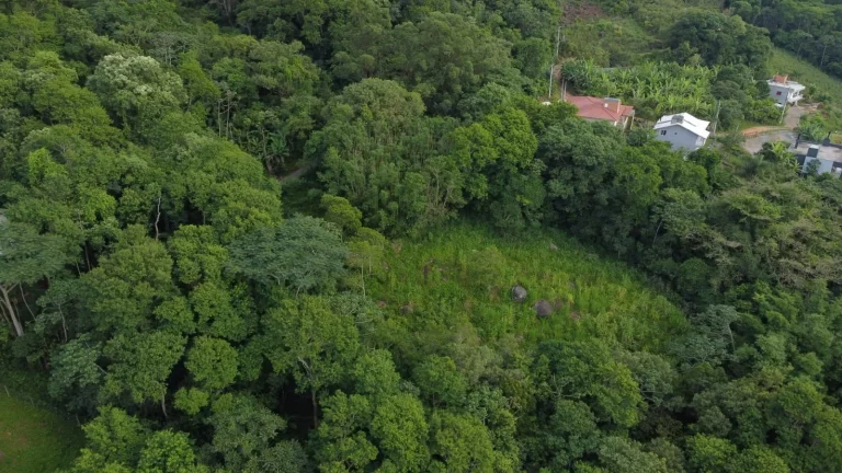 Imagem Oportunidade Única: Terreno à Venda no Bairro Macacu em Garopaba/SC! 1.639,00 m² de área. Confira já!