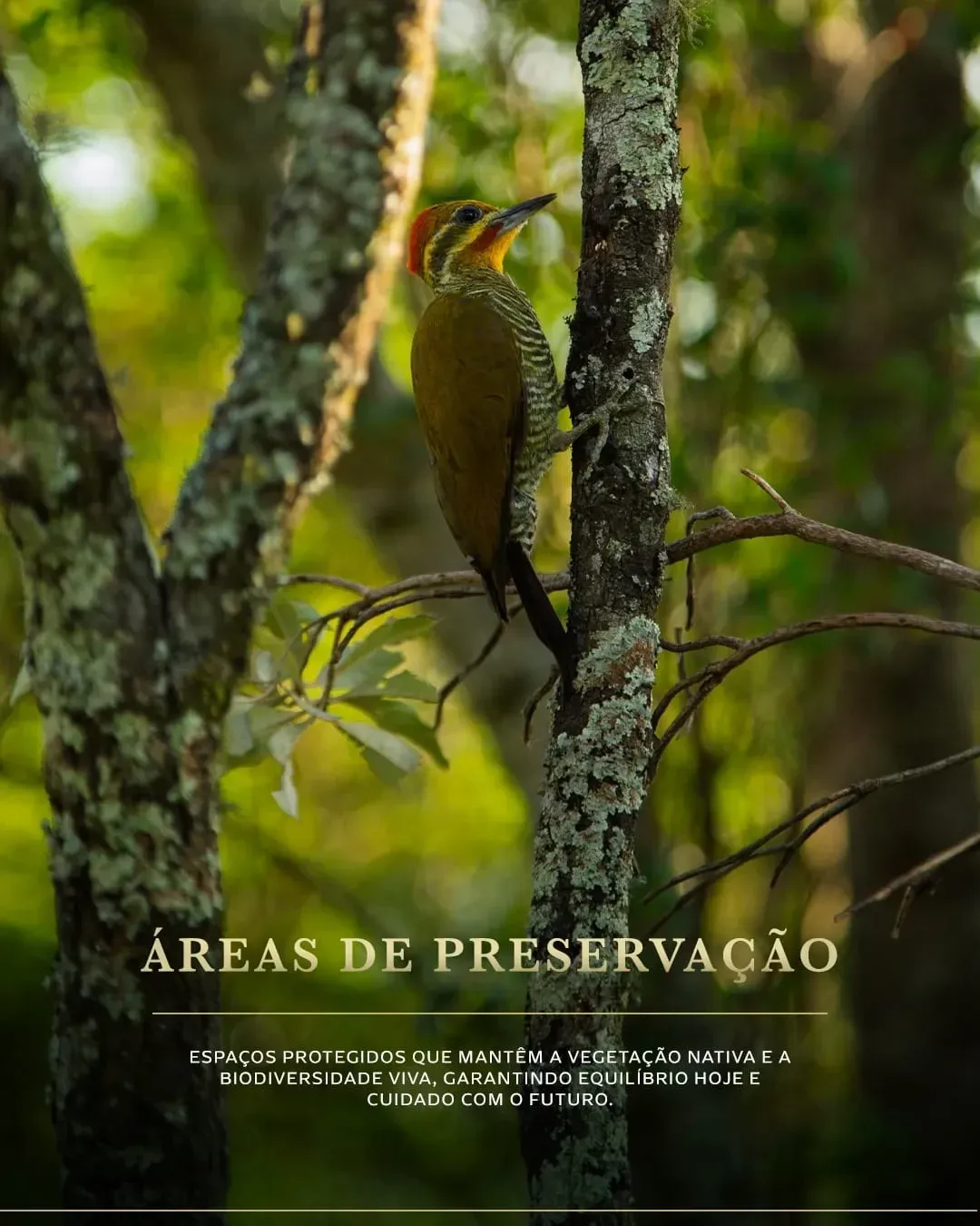 Imagem Terreno à Venda, 240 metros em bairro Papucaia - Cachoeiras de Macacu
