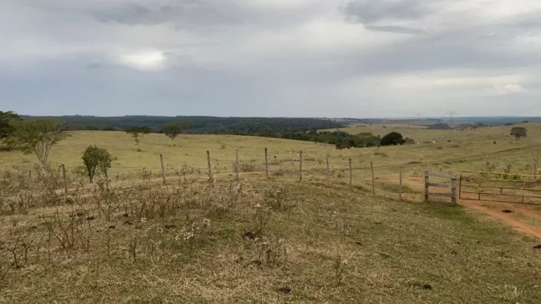Imagem Fazenda à venda  Região Bauru/SP  235 alqueires