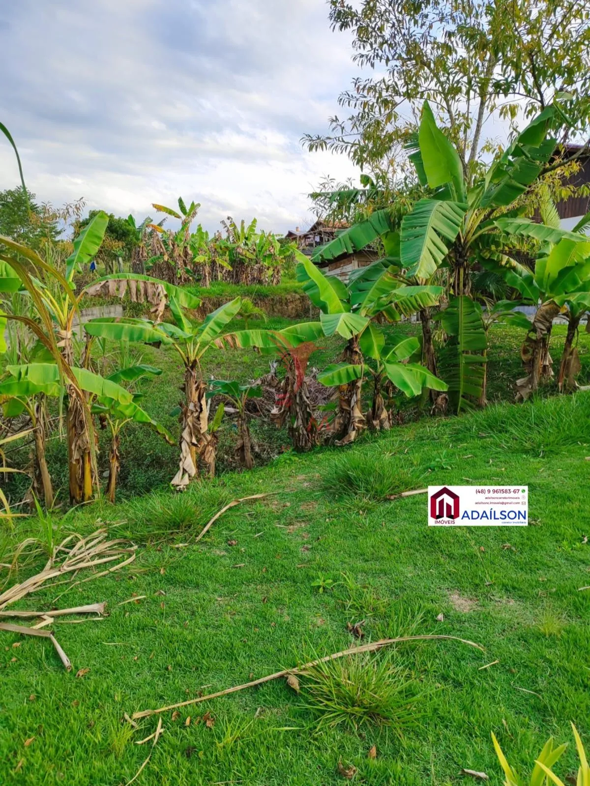 Imagem Sítio a venda no município de Tijucas - Timbe / SC Com 3 Quartos à venda, 1200m²
