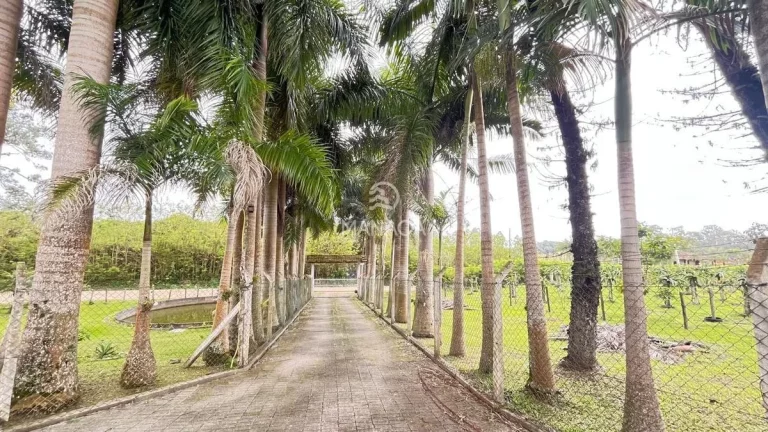 Imagem Sítio Alto Padrão 68.000m²