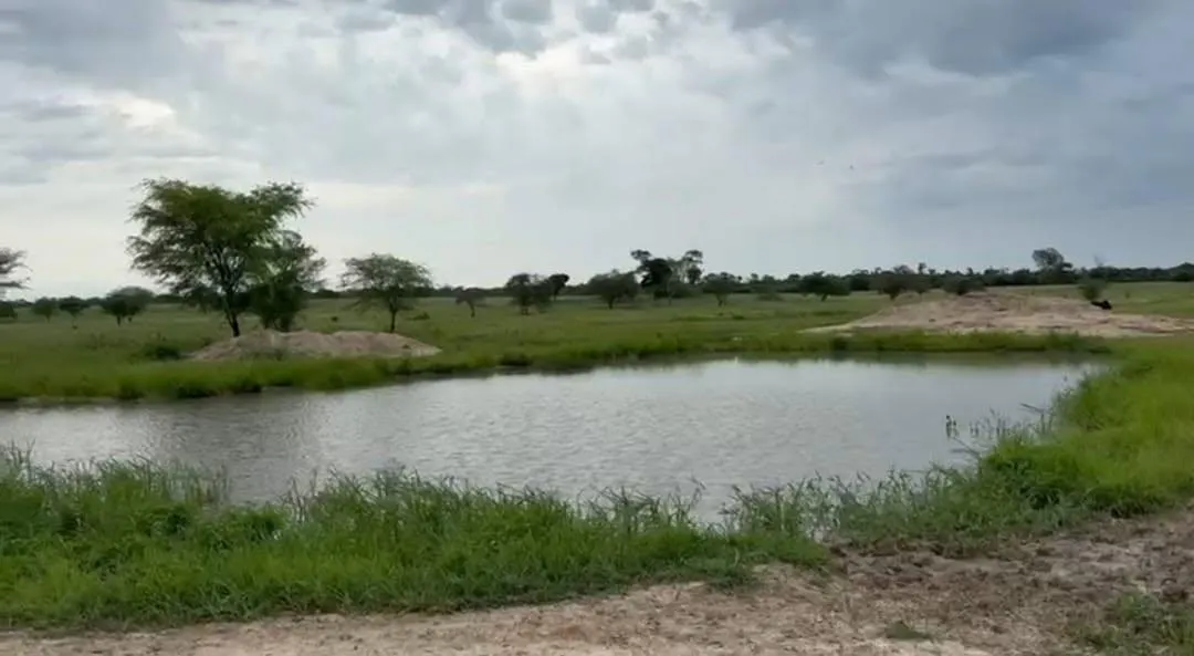 Imagem Vendo excelente fazenda em Jaíba/MG ?área total de 3.150 hectares