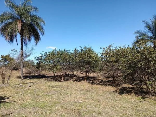 Imagem TERRENO- ARTUR NOGUEIRA/HOLAMBRA