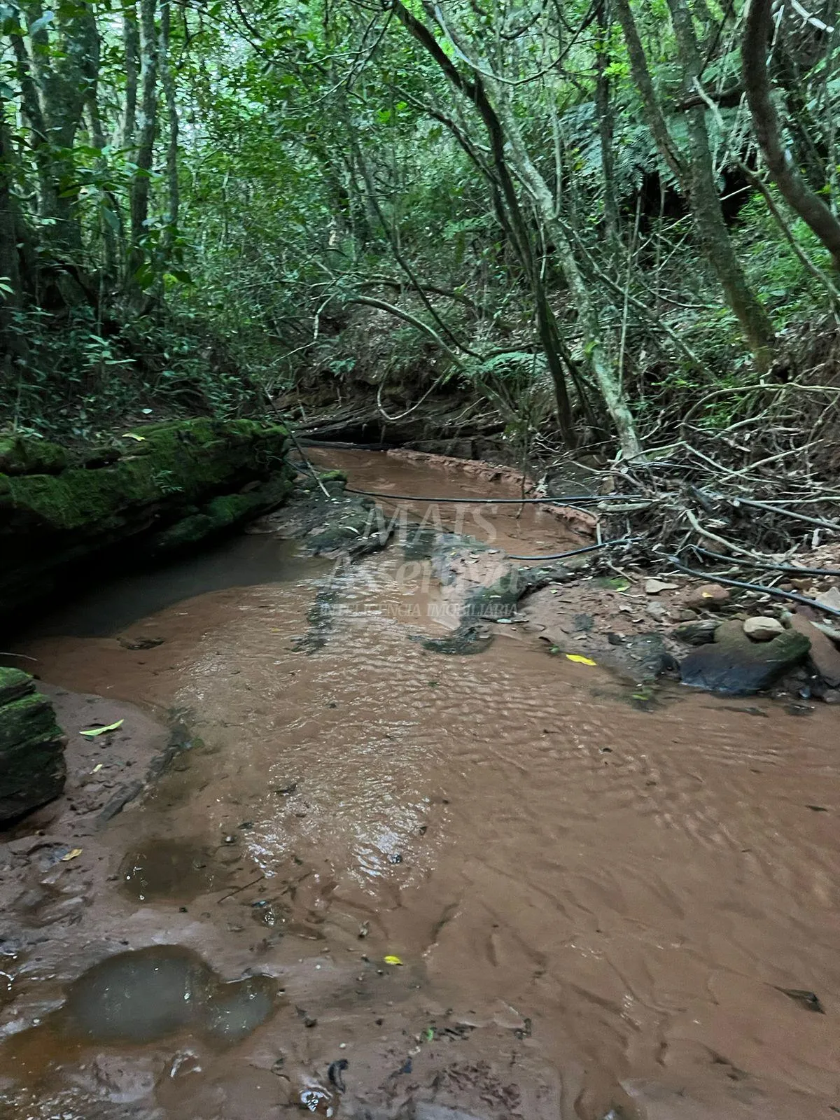 Imagem Chácara de 10 hectares para venda em Lomba Grande, Novo Hamburgo