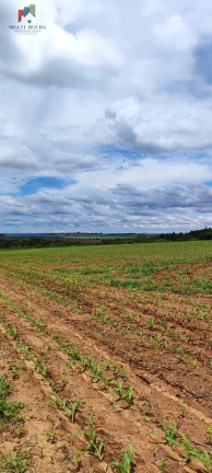 Imagem Fazenda a venda São Miguel Arcanjo SP