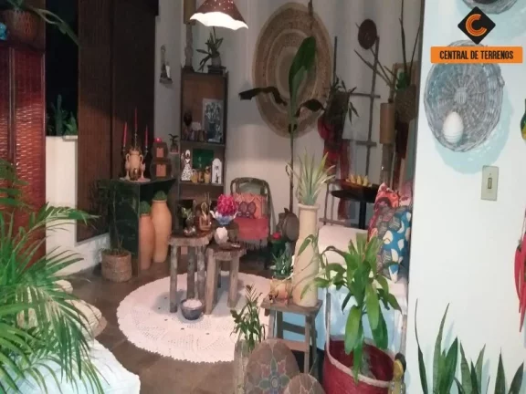 Imagem SITIO EM BARRA DE POJUCA
