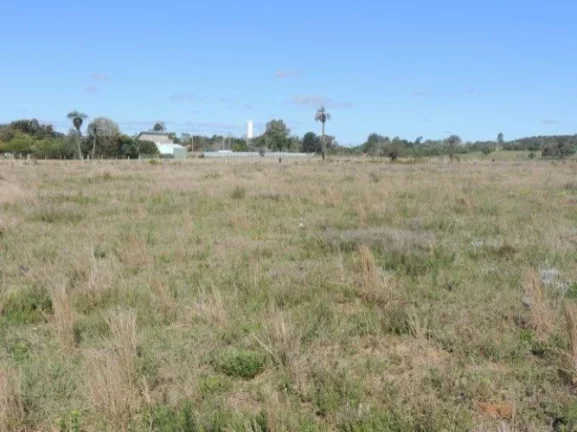 Imagem Terreno residencial fora de condomínio, Morro Grande / Viamão