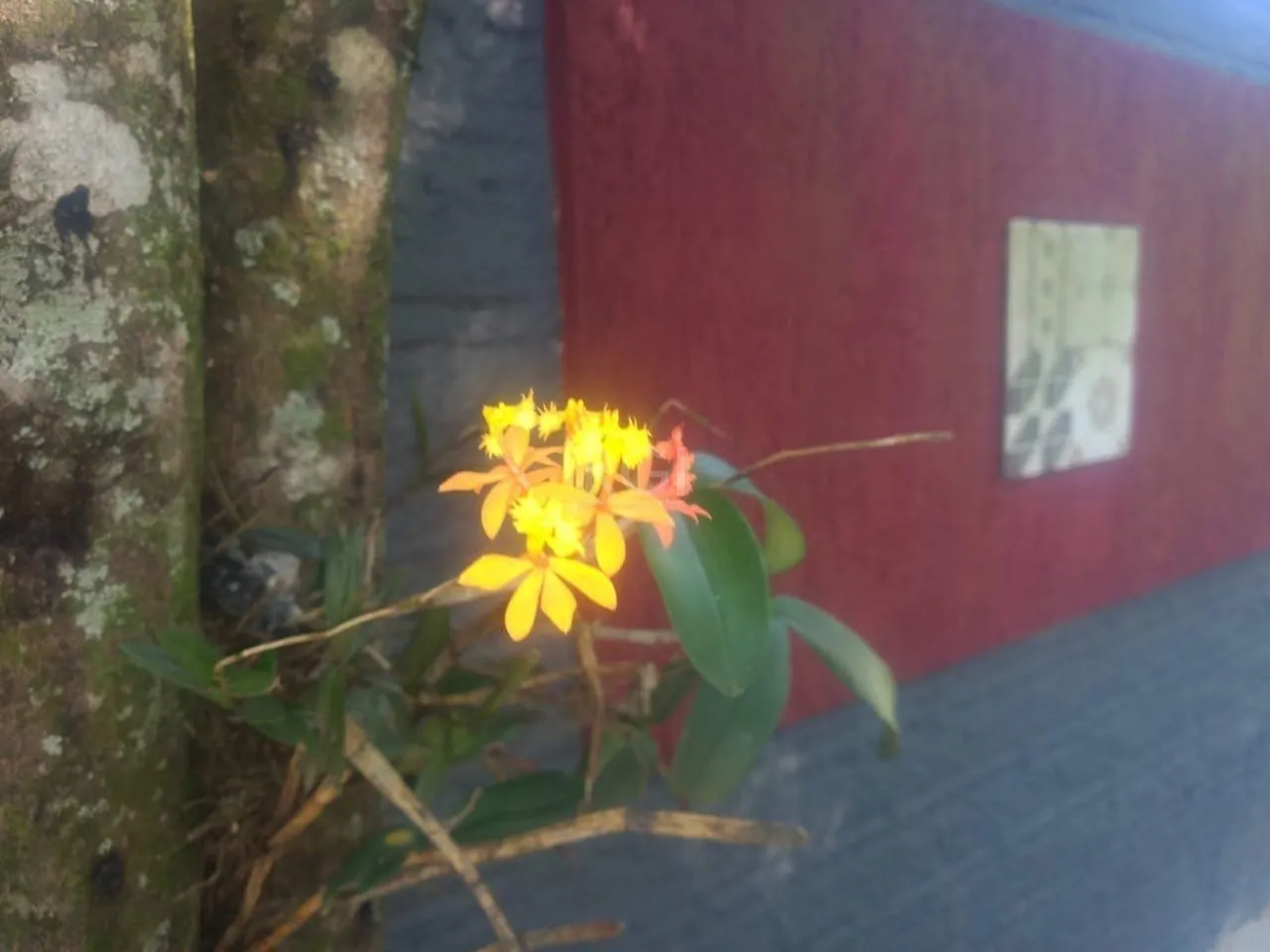 Imagem Terreno a venda no bairro Gloria - Av. Oscar Pereira