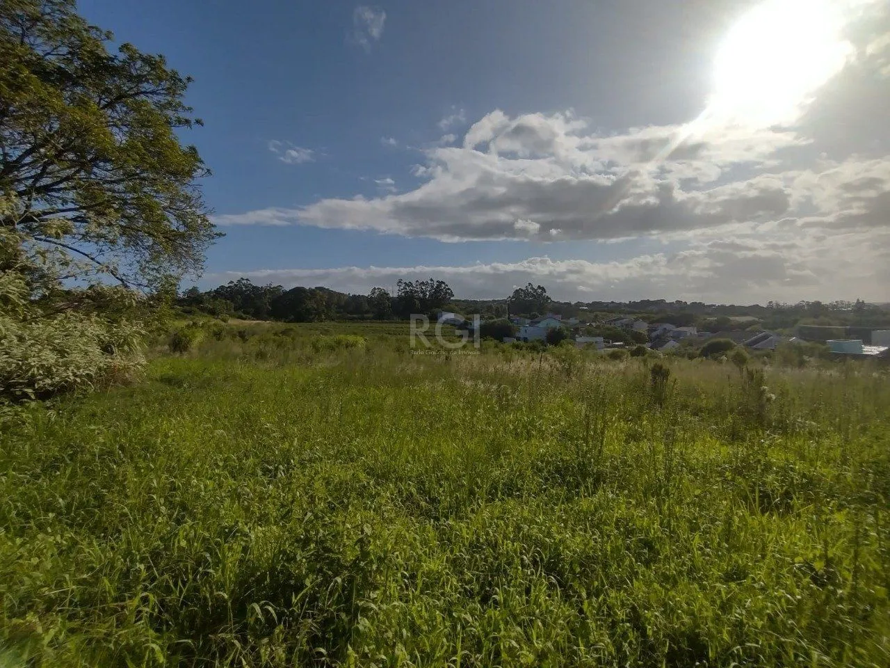 Imagem Área de terras no bairro Campo Novo