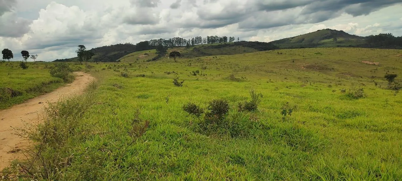 Imagem endo uma excelente fazenda em Desterro de Entre Rios com 277 hectares de terra