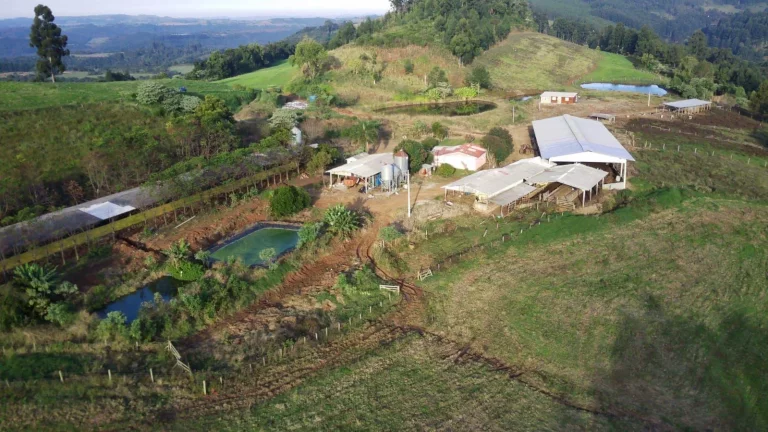 Imagem Área Agrícola para Venda em Concórdia, Interior