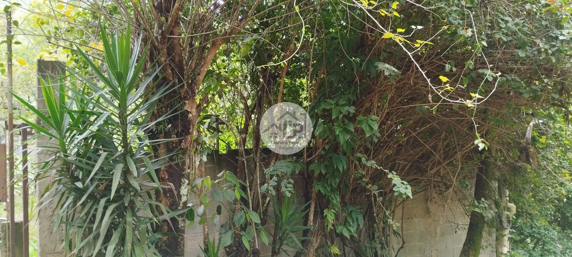 Imagem Chácara de 2.475 m² no bairro Graminha- Rio Claro, RJ