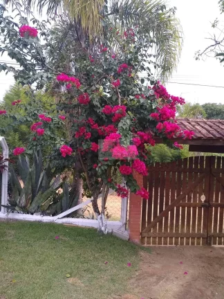 Imagem CHÁCARA JARDIM CANANEIA