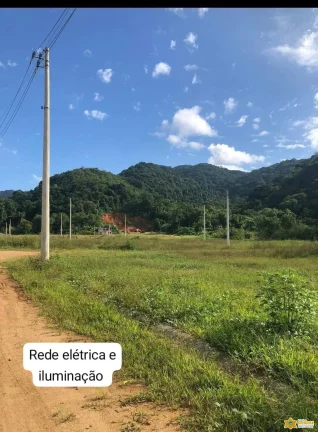 Imagem Vendo lote documentado no Jardim Tropical - Estufa 2